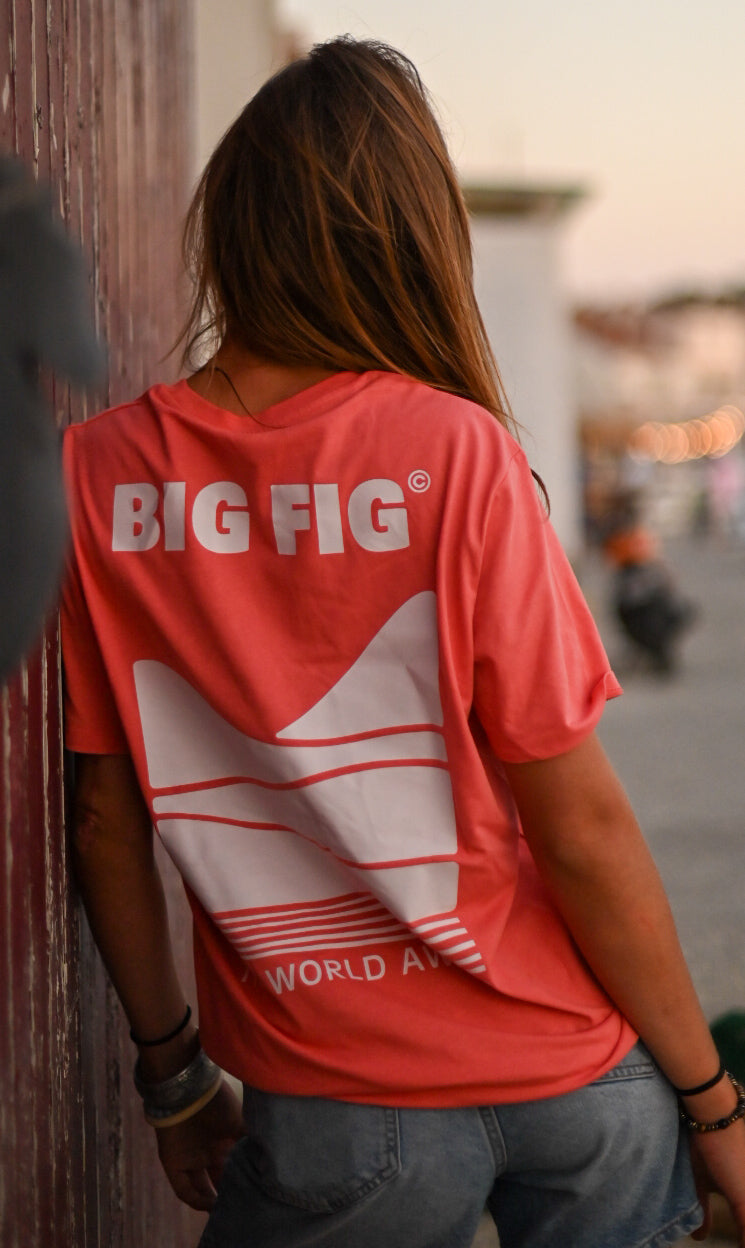 T-SHIRT COUPE CLASSIQUE LANDSCAPE WHITE CORAIL