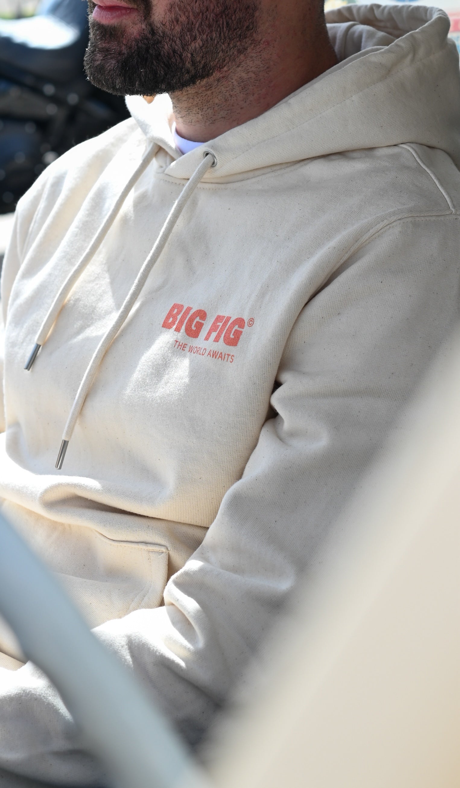 sweat-capuche-landscape-bigfig