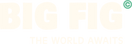 Bigfigstore