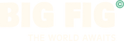 Bigfigstore