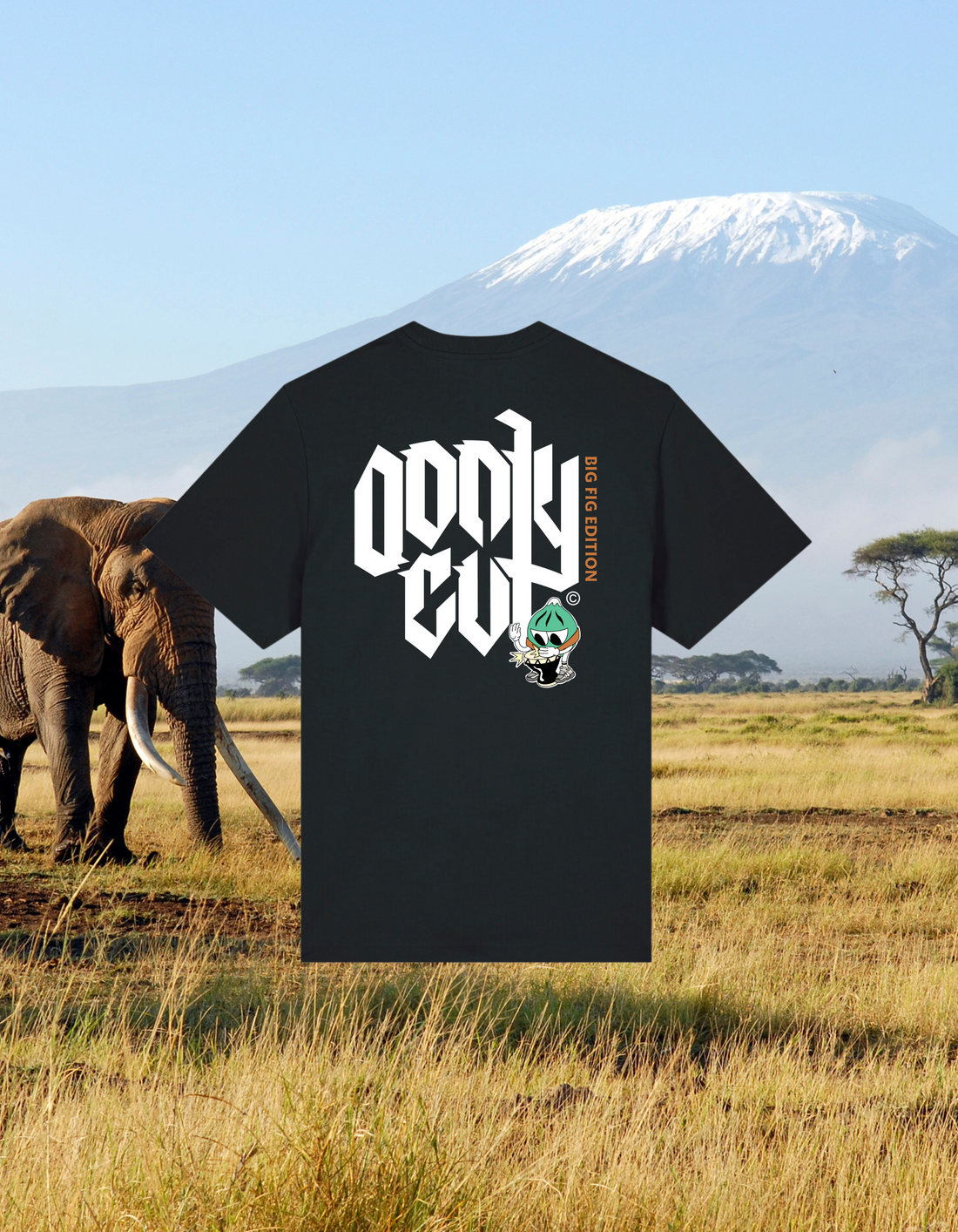 T-SHIRT OVERSIZE OONLY CUT