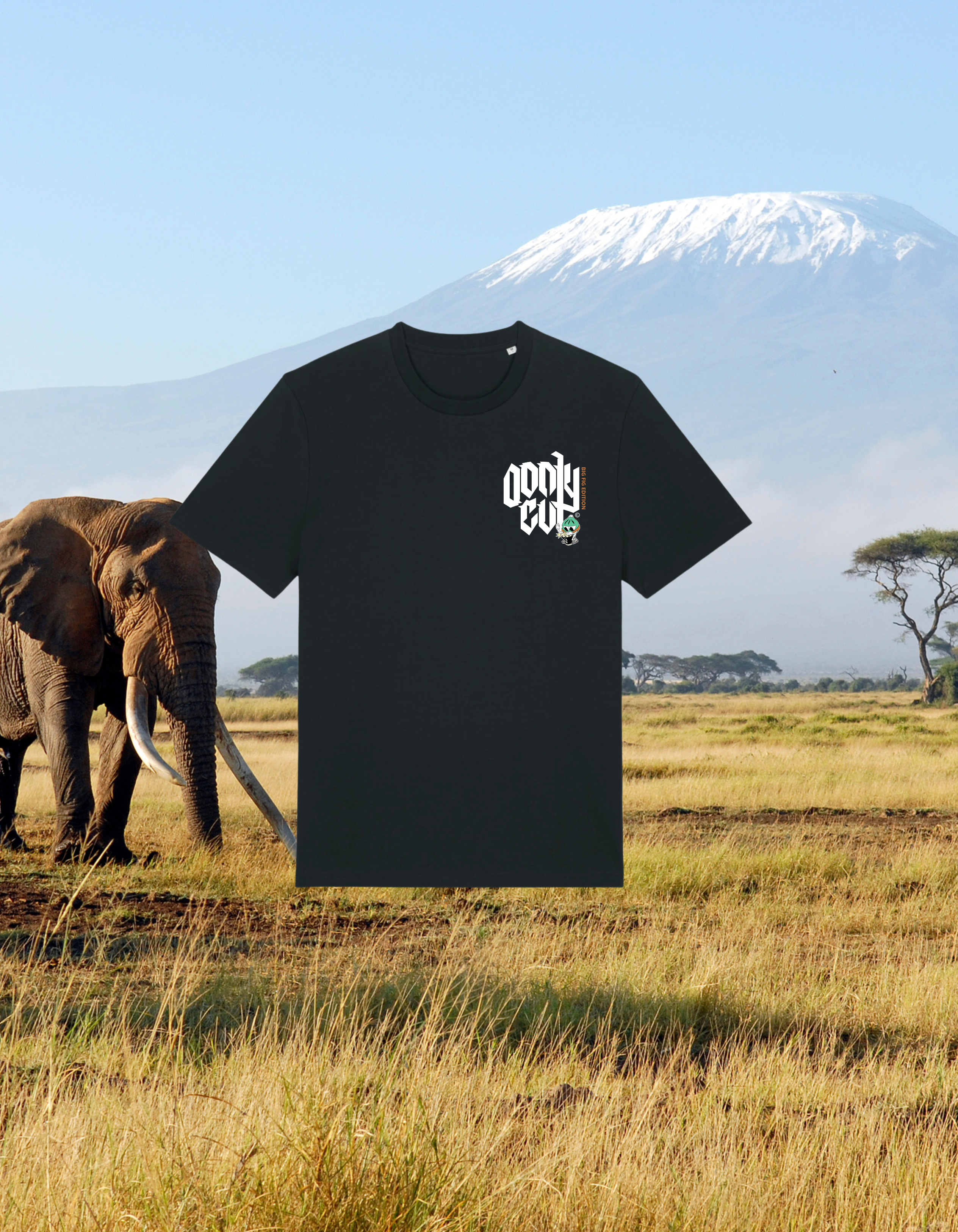 T-SHIRT OVERSIZE OONLY CUT