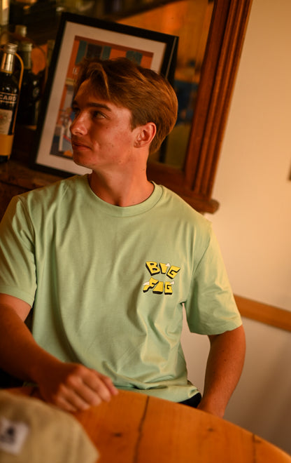 T-SHIRT COUPE CLASSIQUE Provence green pop