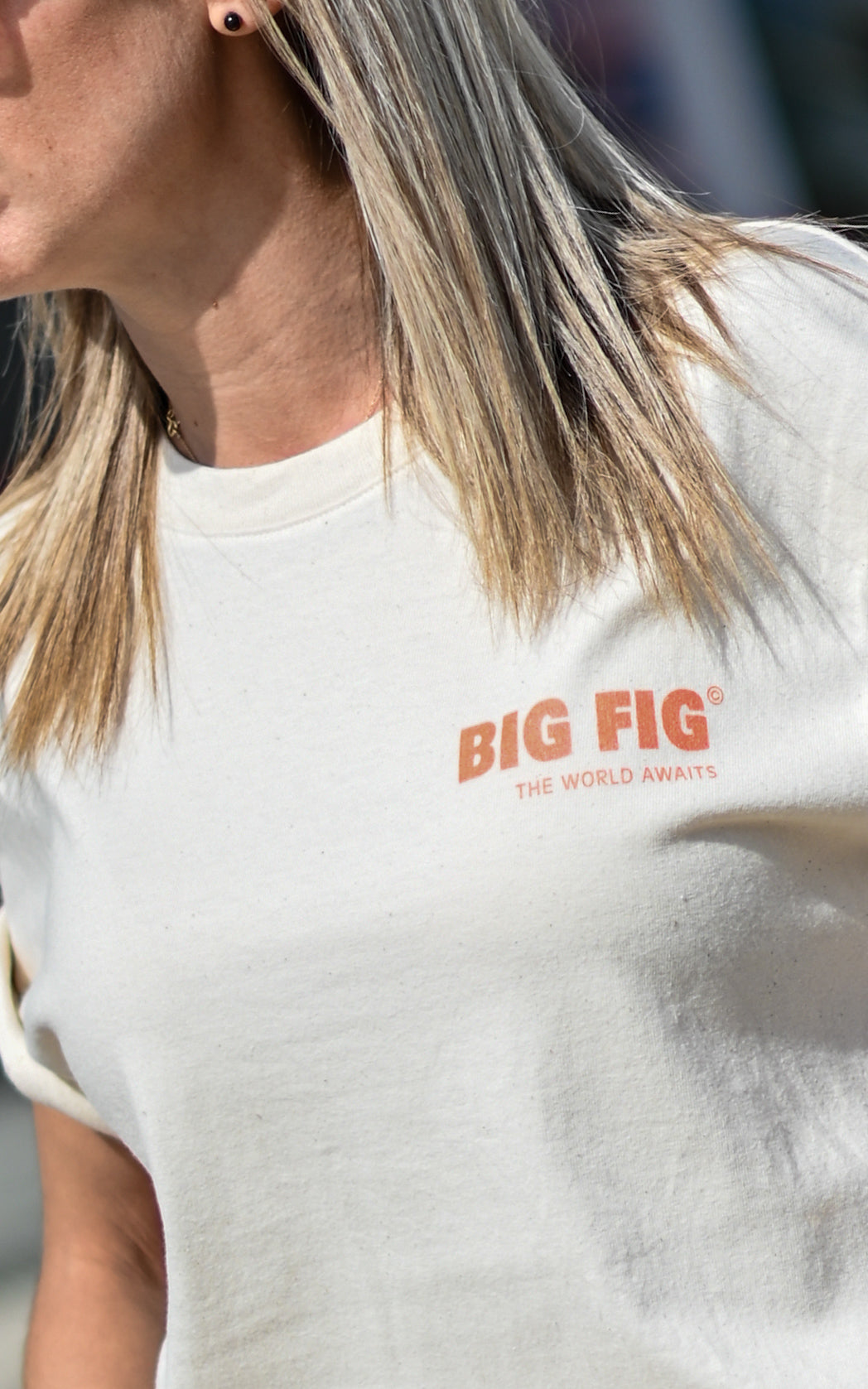 tshirt-manches-courtes-unisexe-illustration-landscape-bigfig